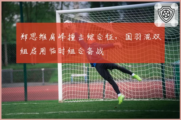 郑思维肩峰撞击综合征，国羽混双组启用临时组合备战