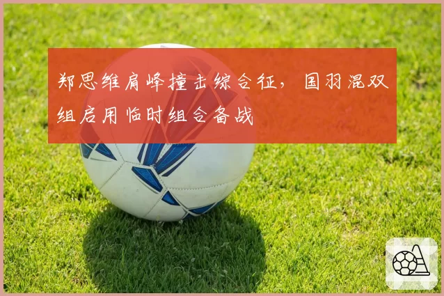 郑思维肩峰撞击综合征,国羽混双组启用临时组合备战