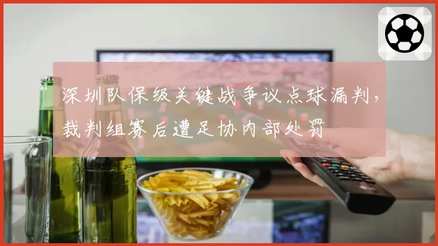 深圳队保级关键战争议点球漏判，裁判组赛后遭足协内部处罚